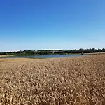 Sterla - Masuria *